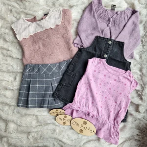 Lot Shaïna 12 mois fille , short gris , gilet violet robe salopette noir tee shirt longue manche dessin papillon pull col rose